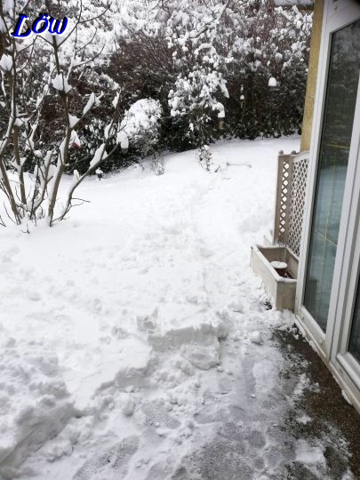 20.2.2026 - Terrasse im Schnee